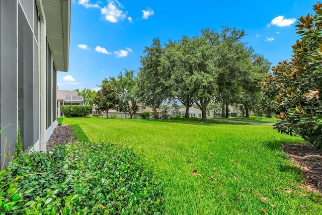 785 Hawks Blf, Clermont, FL 34711 - view of grassy yard