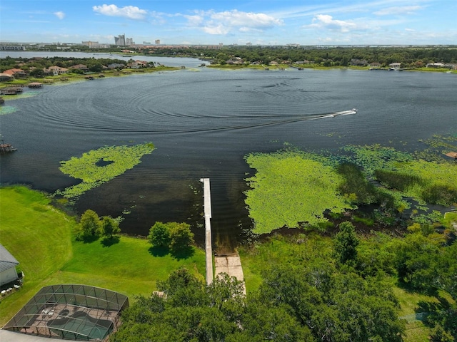 9342 Bay Vista Estates Blvd, Orlando, FL 32836 - bird's eye view of a nearby body of water