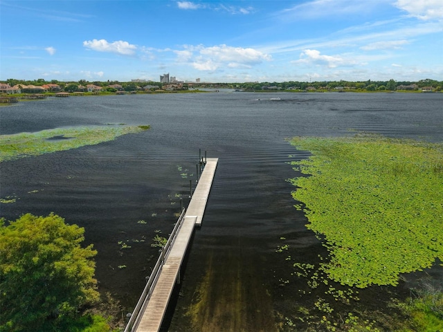 9342 Bay Vista Estates Blvd, Orlando, FL 32836 - dock area with a water view