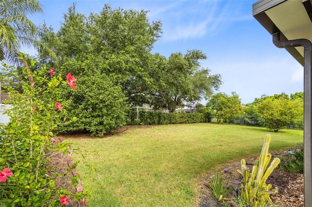 2540 Wembleycross Way, Orlando, FL 32828 - view of yard