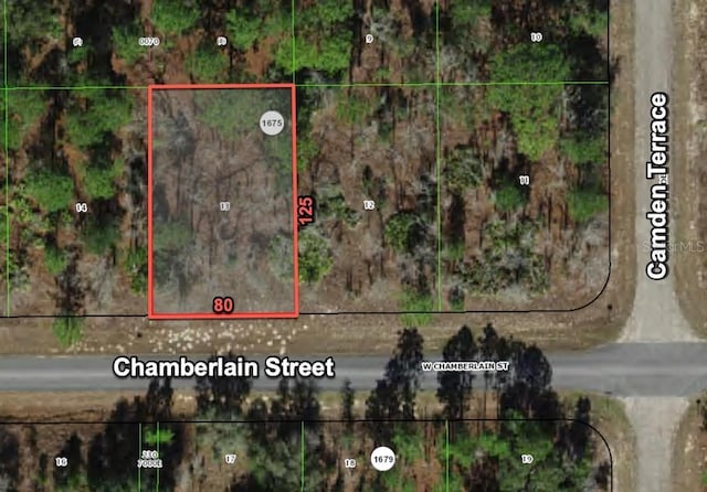 2273 W Chamberlain St, Dunnellon, FL 34434 - photo 1