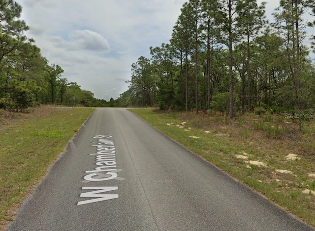 2273 W Chamberlain St, Dunnellon, FL 34434 - photo 3
