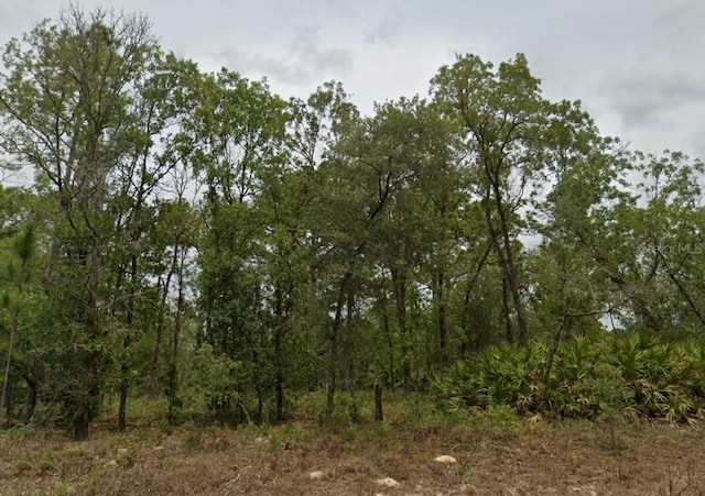 2273 W Chamberlain St, Dunnellon, FL 34434 - photo 4