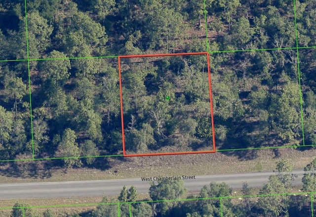 2273 W Chamberlain St, Dunnellon, FL 34434 - photo 5