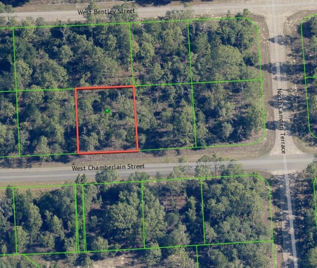 2273 W Chamberlain St, Dunnellon, FL 34434 - photo 8