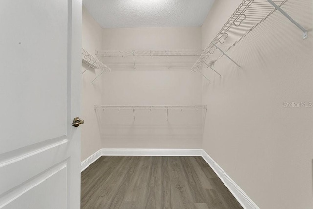 14278 Swanley St, Orlando, FL 32832 - photo 9