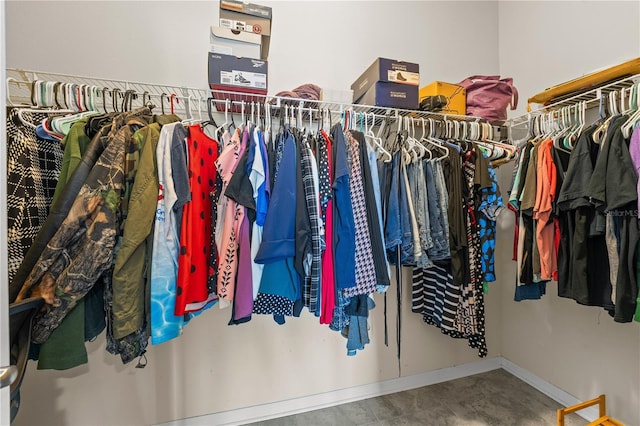 3443 Sagebrush St, Harmony, FL 34773 - view of walk in closet