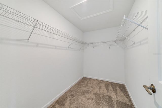 1838 Tohoqua Blvd, Kissimmee, FL 34744 - photo 9