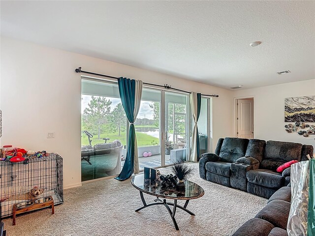 711 Steerview St, Saint Cloud, FL 34771 - living room with carpet floors and a textured ceiling