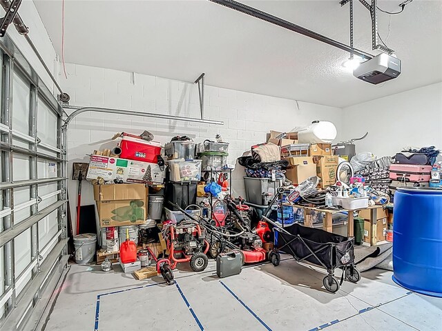 711 Steerview St, Saint Cloud, FL 34771 - garage with a garage door opener and concrete block wall