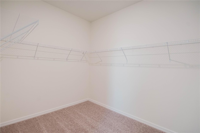 2351 Selenia St, Lake Alfred, FL 33850 - photo 22