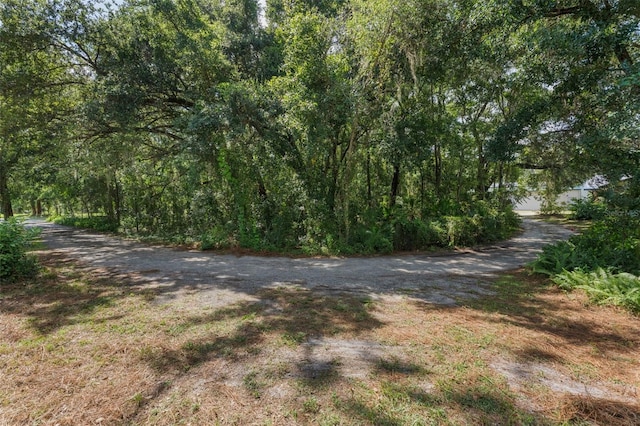 5252 Garlanger Trl, Oviedo, FL 32765 - photo 48