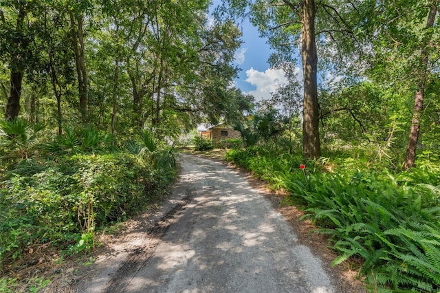 5252 Garlanger Trl, Oviedo, FL 32765 - photo 49