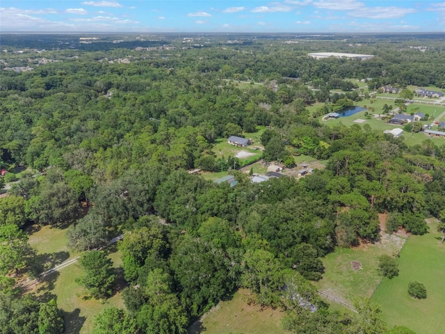 5252 Garlanger Trl, Oviedo, FL 32765 - photo 56