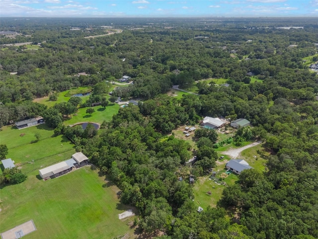 5252 Garlanger Trl, Oviedo, FL 32765 - photo 66