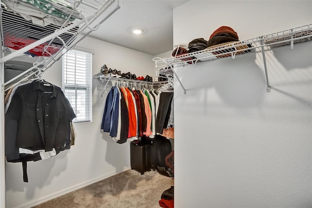 1056 Plantation Ln, Davenport, FL 33896 - walk in closet with carpet