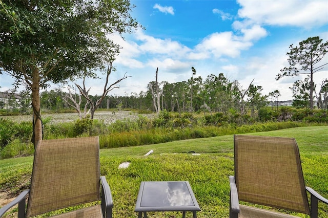 1056 Plantation Ln, Davenport, FL 33896 - view of green lawn