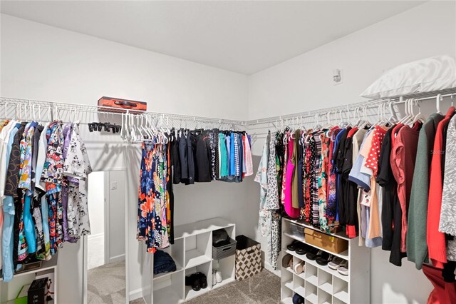 1291 Lassen St, Haines City, FL 33844 - walk in closet featuring carpet floors