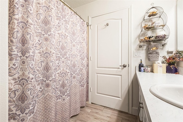 1668 Wilson Prairie Cir, Groveland, FL 34736 - bathroom featuring vanity, wood finished floors, and a shower with curtain