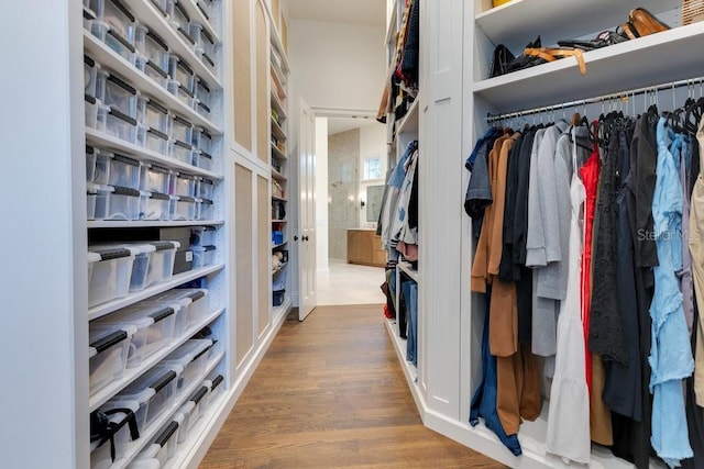 6186 Louise Cove Dr, Windermere, FL 34786 - walk in closet with wood finished floors