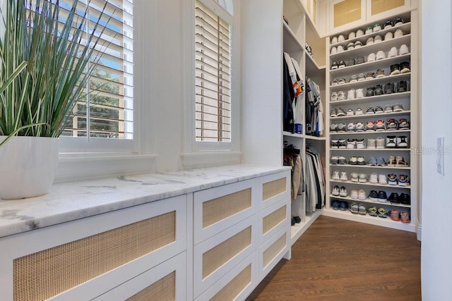 6186 Louise Cove Dr, Windermere, FL 34786 - spacious closet with dark wood-style flooring