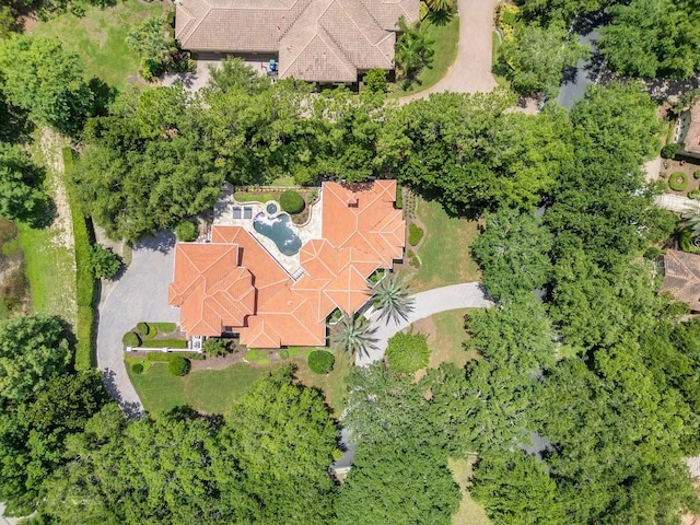 6186 Louise Cove Dr, Windermere, FL 34786 - bird's eye view