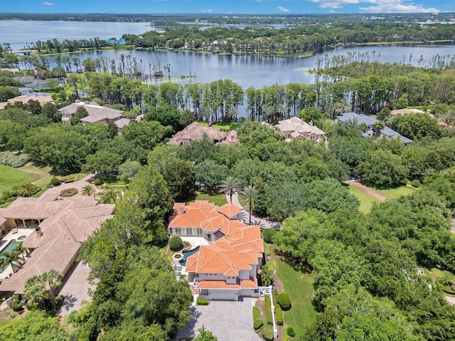 6186 Louise Cove Dr, Windermere, FL 34786 - aerial view of property's location featuring a large body of water and nearby suburban area