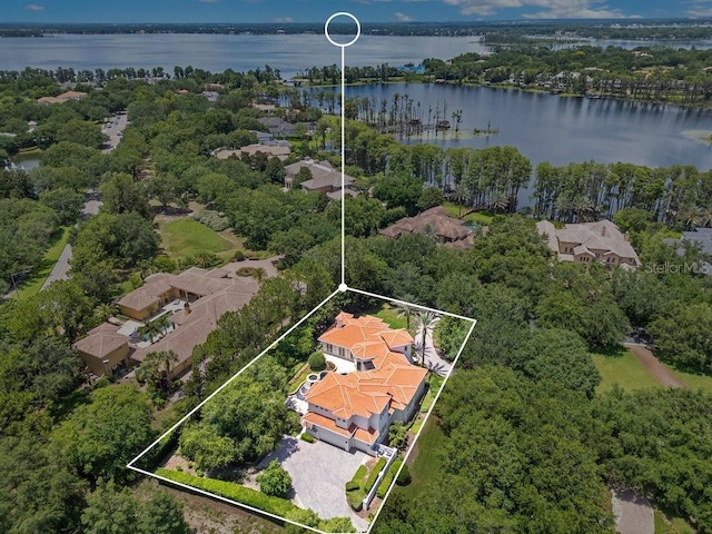 6186 Louise Cove Dr, Windermere, FL 34786 - aerial view of property's location with a large body of water and property boundaries highlighted