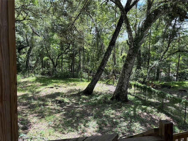 4249 SW 129th Blvd, Webster, FL 33597 - photo 9