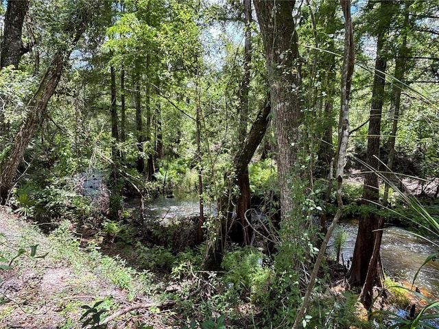 4249 SW 129th Blvd, Webster, FL 33597 - photo 11