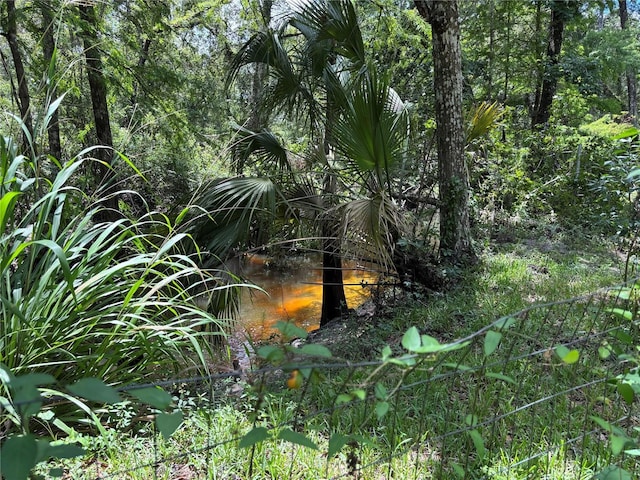 4249 SW 129th Blvd, Webster, FL 33597 - photo 12