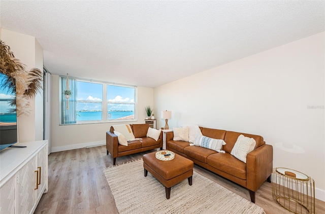 6177 Sun Blvd Unit 307, Saint Petersburg, FL 33715 - photo 17