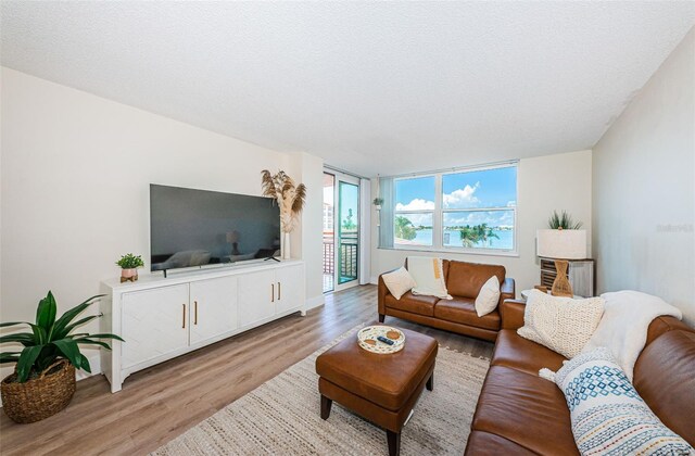 6177 Sun Blvd Unit 307, Saint Petersburg, FL 33715 - photo 18