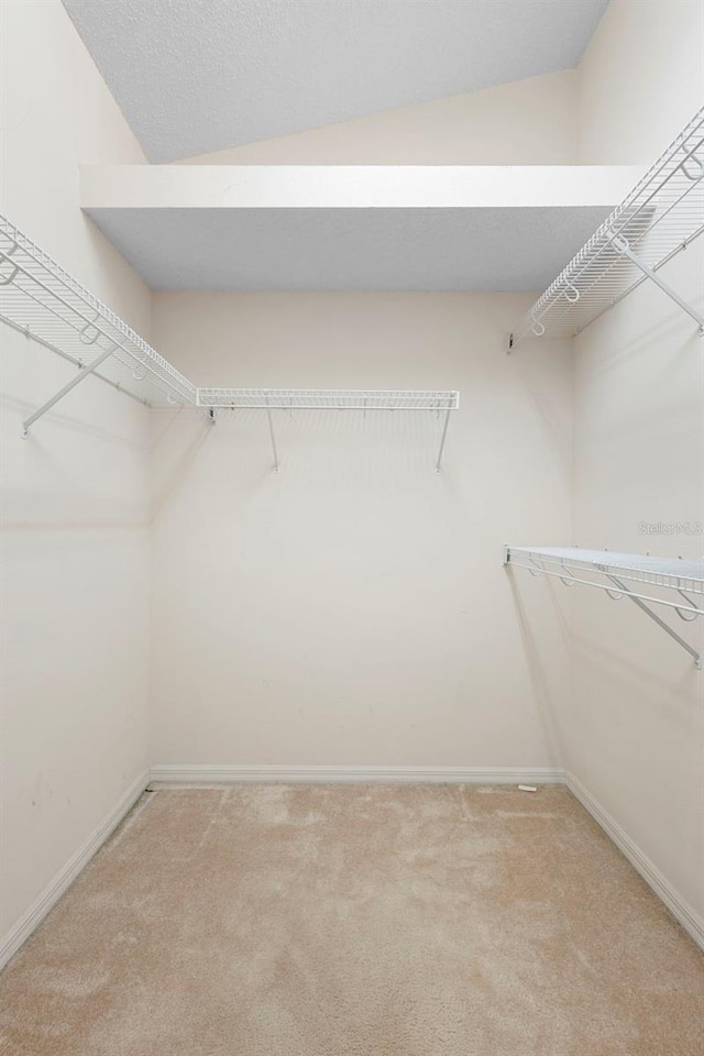 3707 Doune Way, Clermont, FL 34711 - walk in closet featuring light carpet and lofted ceiling