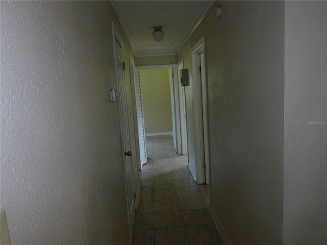 109 S Atlas Dr, Apopka, FL 32703 - photo 9
