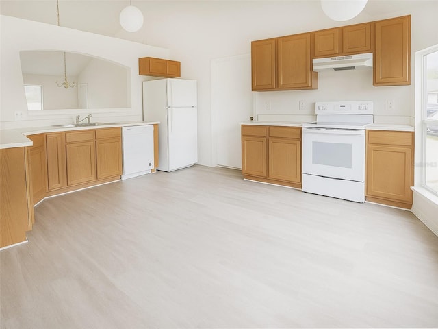 15 Botany Ln, Palm Coast, FL 32137 - photo 4