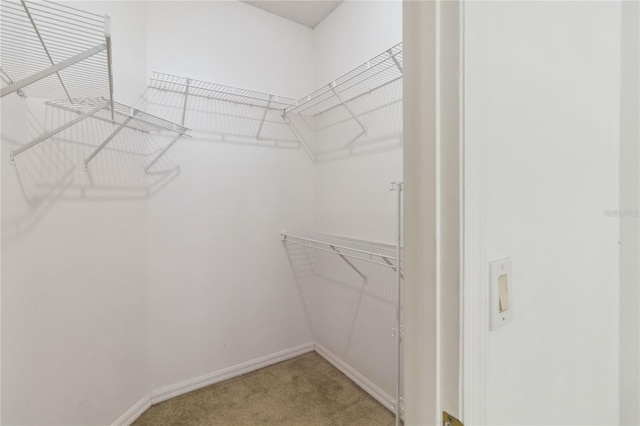 2908 Cedena Cove St, Orlando, FL 32817 - photo 14