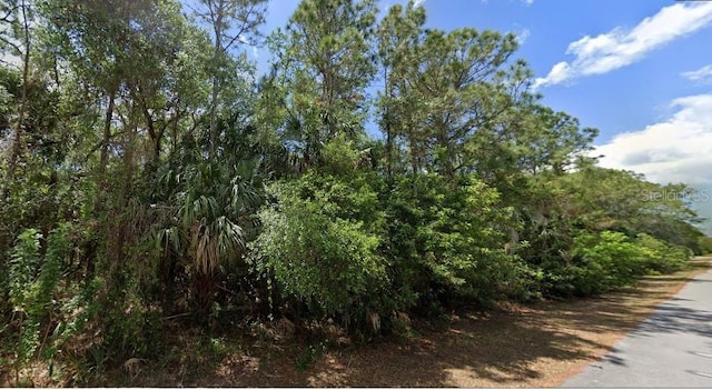 14255 Mary Jo Ave, Port Charlotte, FL 33953 - photo 1