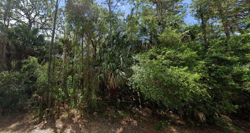 14255 Mary Jo Ave, Port Charlotte, FL 33953 - photo 2