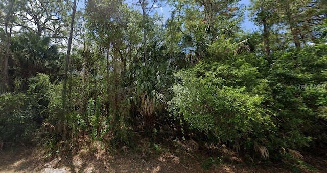 14255 Mary Jo Ave, Port Charlotte, FL 33953 - photo 2