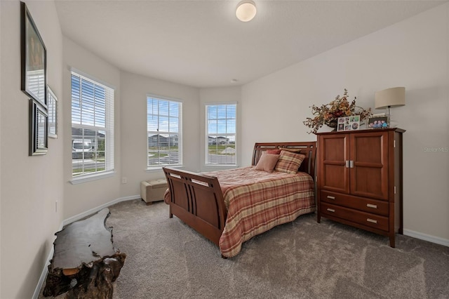 3702 Haddon Ave, Davenport, FL 33837 - bedroom with dark colored carpet and multiple windows
