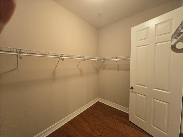 600 Mulberry St Unit 3110, Celebration, FL 34747 - photo 22
