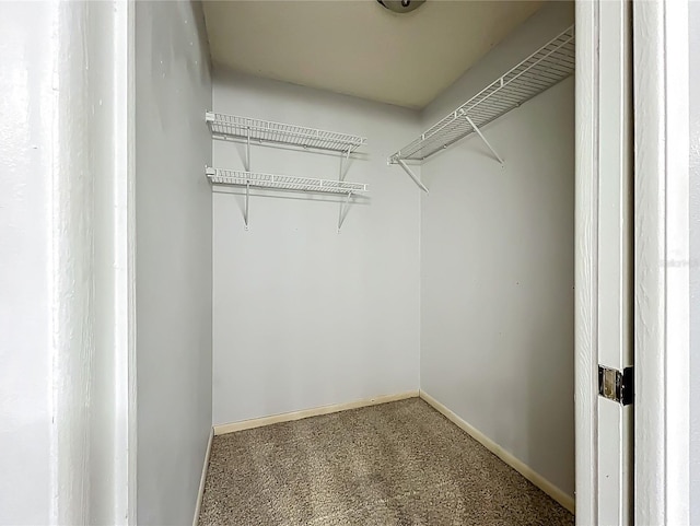 10901 Peppersong Dr, Riverview, FL 33578 - walk in closet with carpet flooring