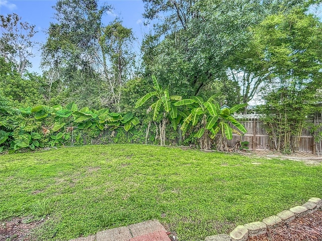 10901 Peppersong Dr, Riverview, FL 33578 - view of yard