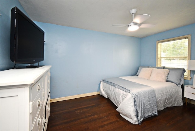 110 W Par St, Orlando, FL 32804 - photo 22