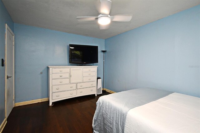110 W Par St, Orlando, FL 32804 - photo 23