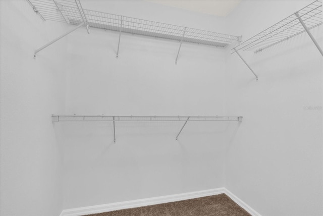 13122 Honey Locust Dr, Orlando, FL 32828 - photo 15