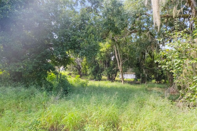 421 N 2nd St, Haines City, FL 33844 - photo 36