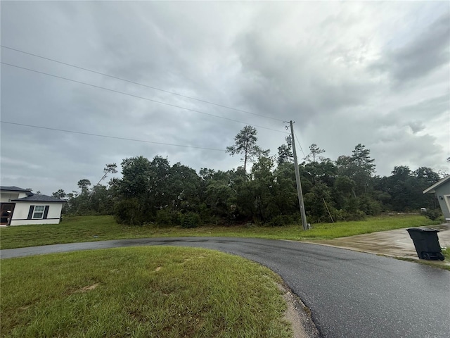 SW 162nd Lane, Ocala, FL 34473 - view of street