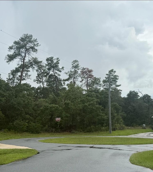SW 162nd Lane, Ocala, FL 34473 - view of asphalt street with a wooded view